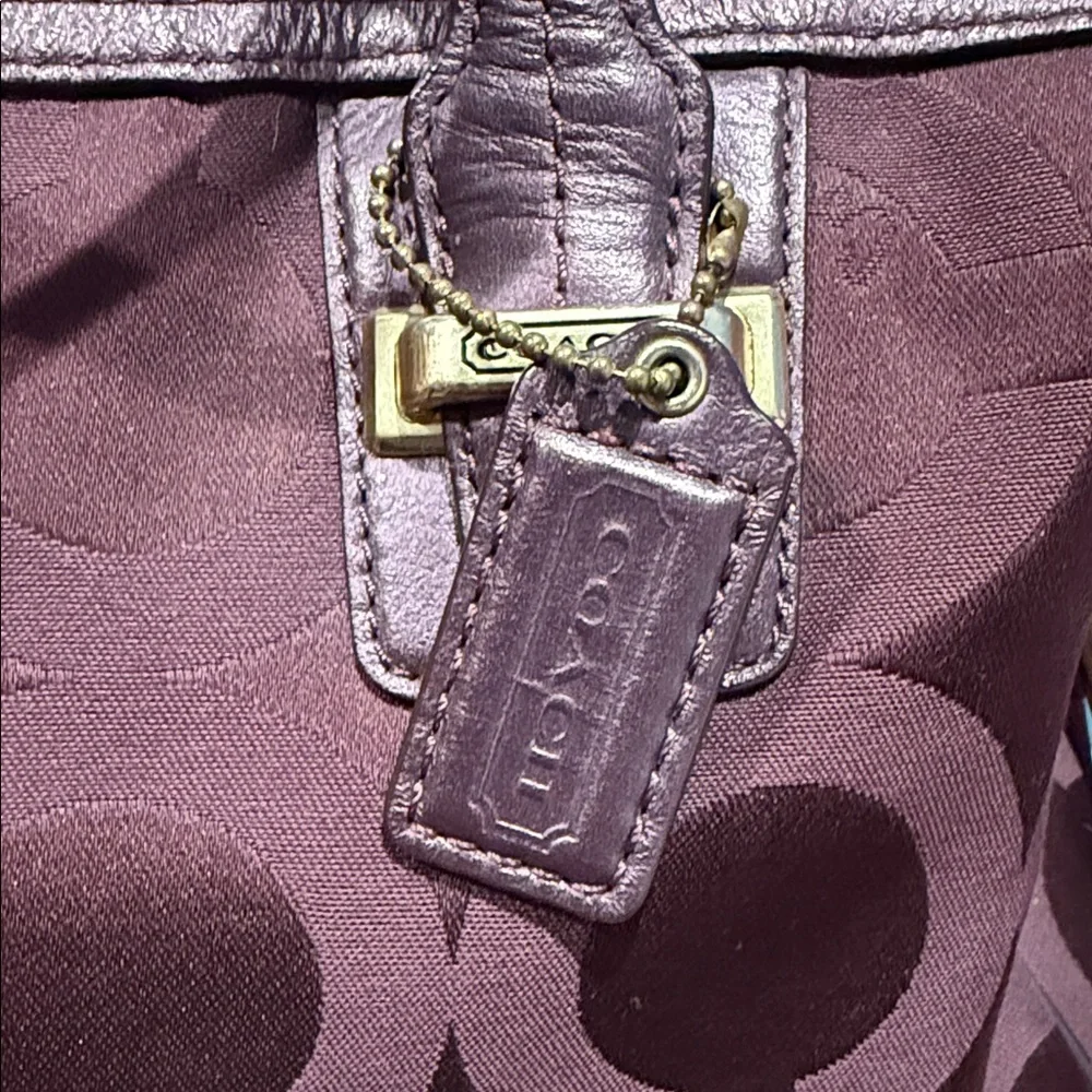 Coach Handbag in Cabernet